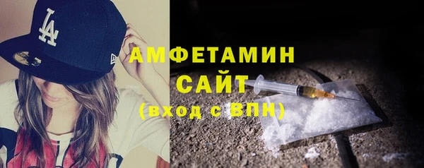 индика Верхний Тагил