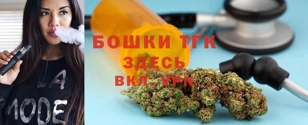 шишки Верея