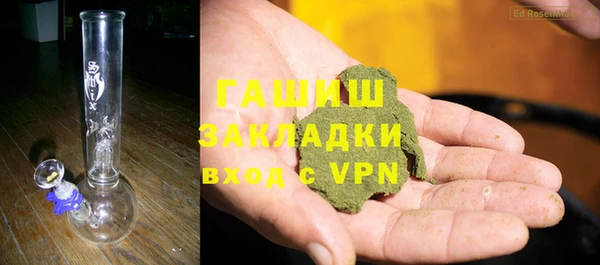 индика Верхний Тагил