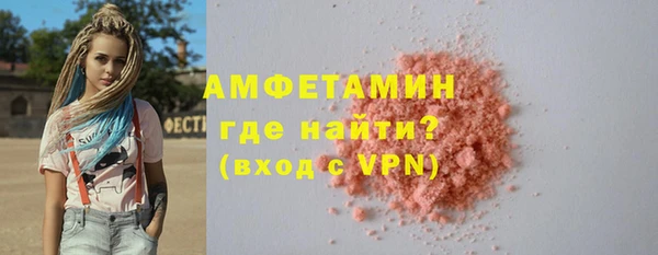 шишки Верея