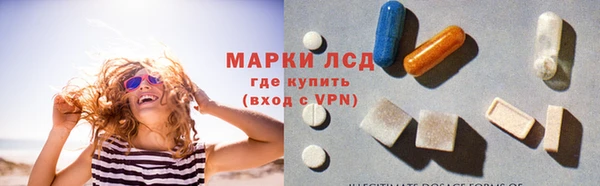 индика Верхний Тагил