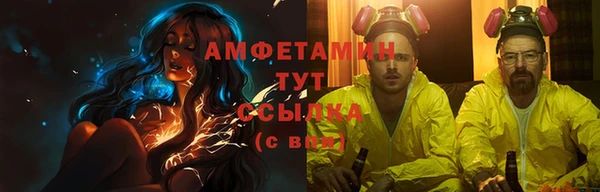 шишки Верея