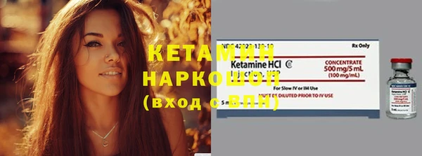 шишки Верея