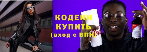 шишки Верея