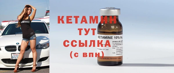 шишки Верея