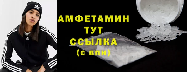 шишки Верея