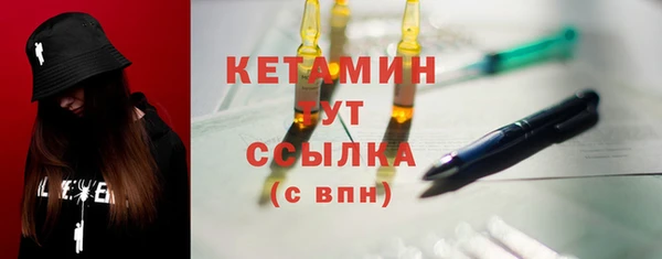 шишки Верея