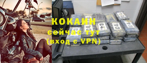 шишки Верея