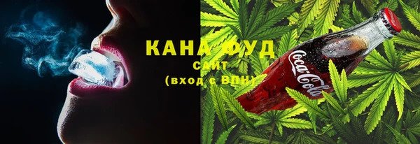 индика Верхний Тагил